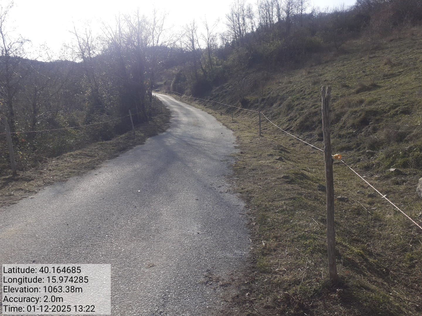 Galleria Fotografica Immagine