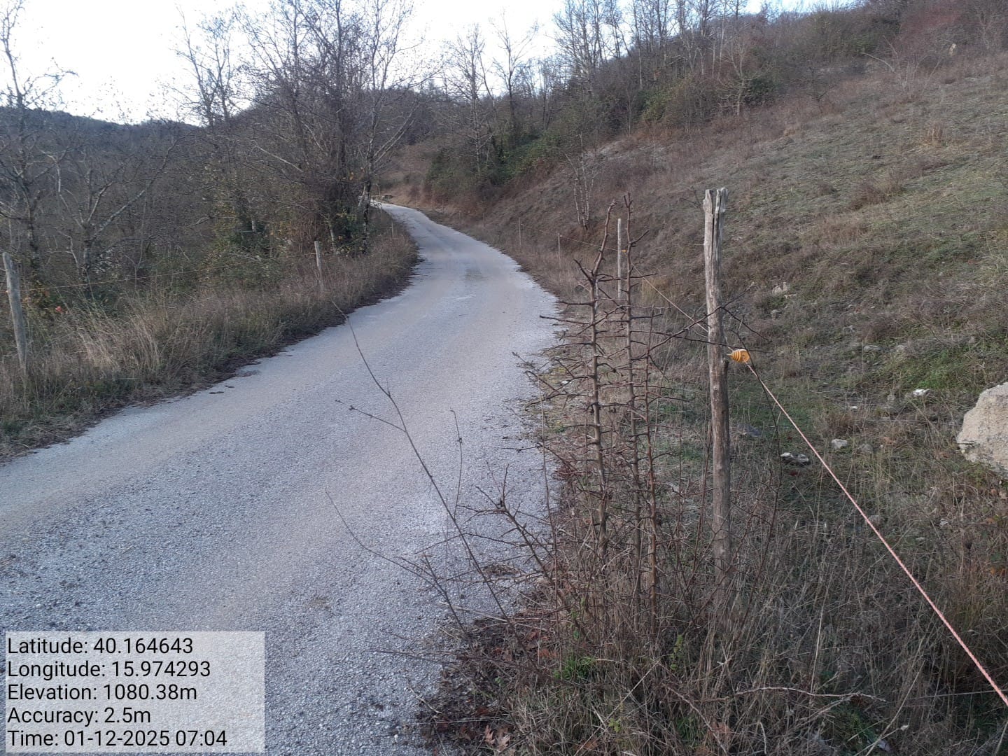 Galleria Fotografica Immagine