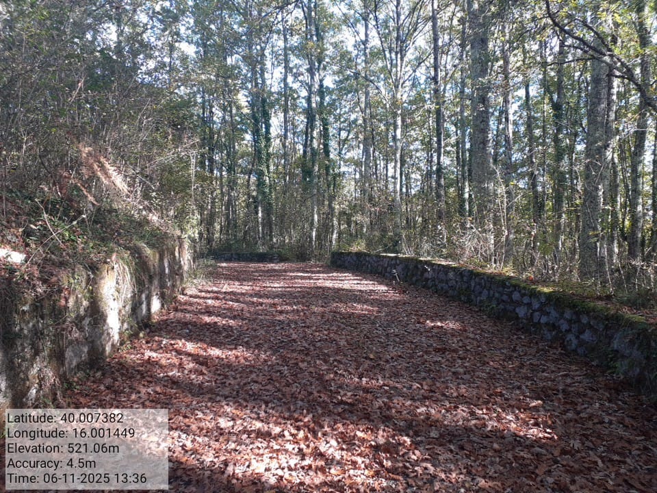 Galleria Fotografica Immagine