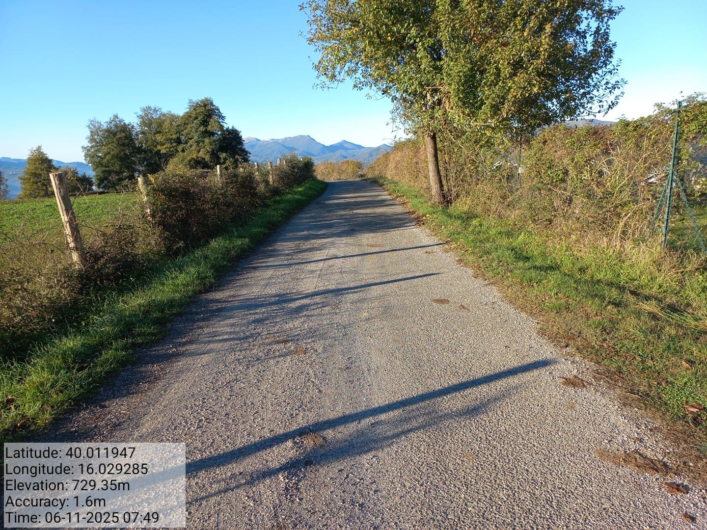 Galleria Fotografica Immagine