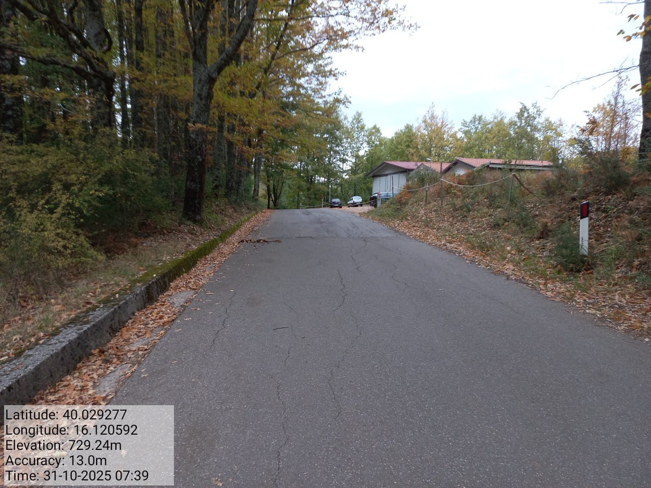 Galleria Fotografica Immagine