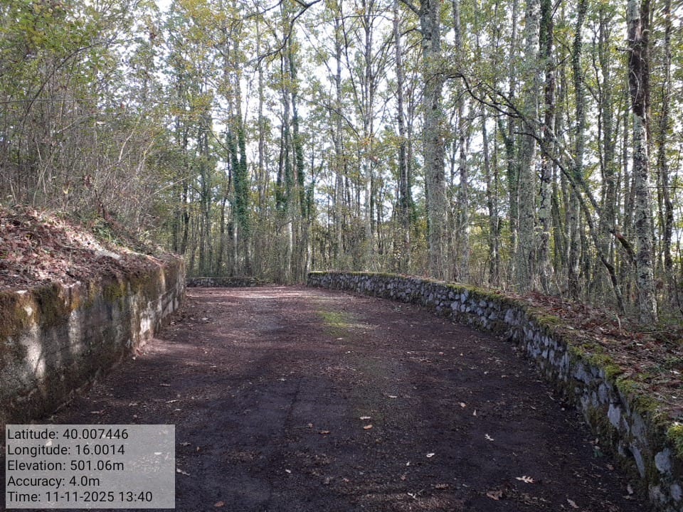 Galleria Fotografica Immagine