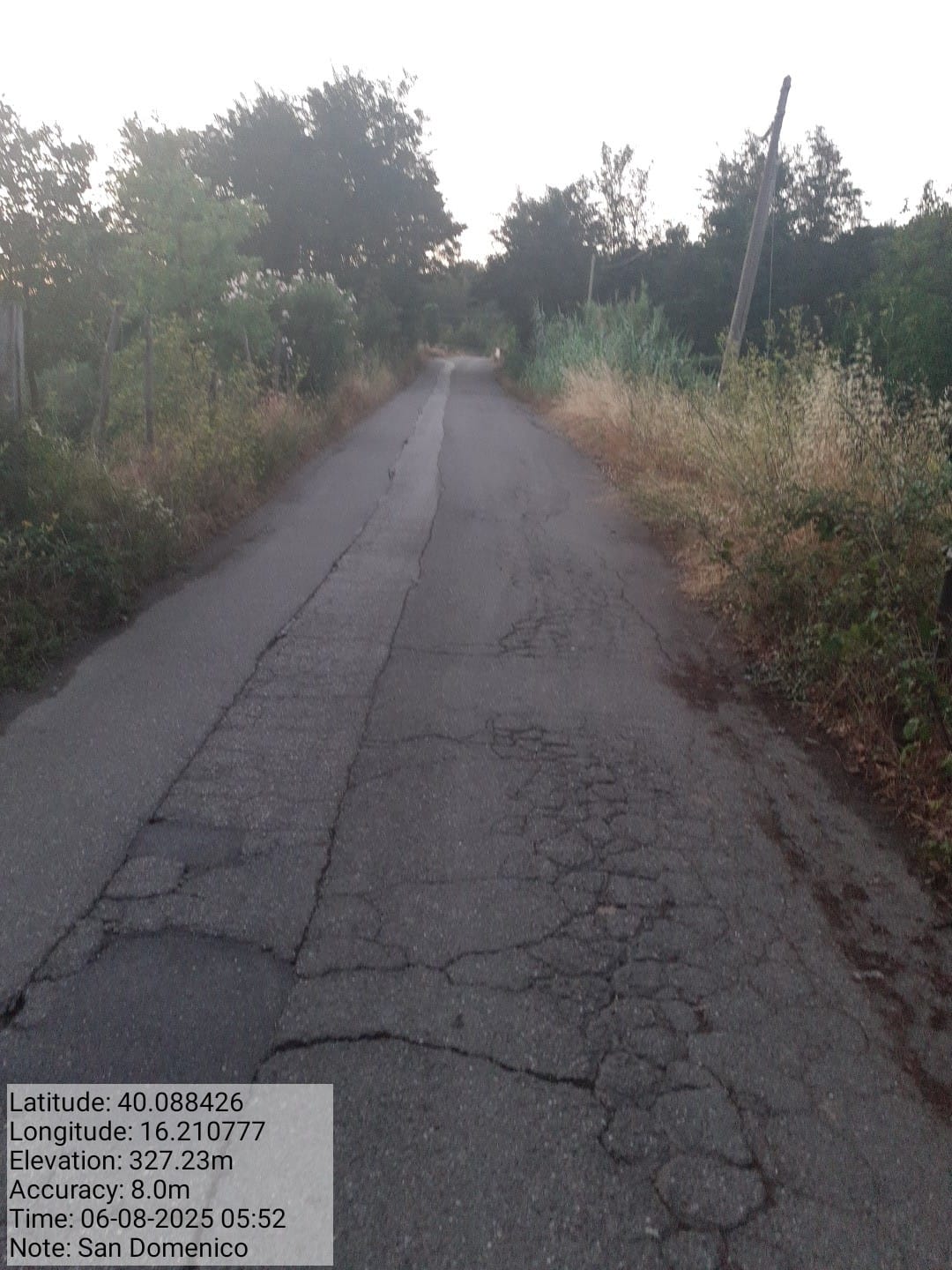 Galleria Fotografica Immagine