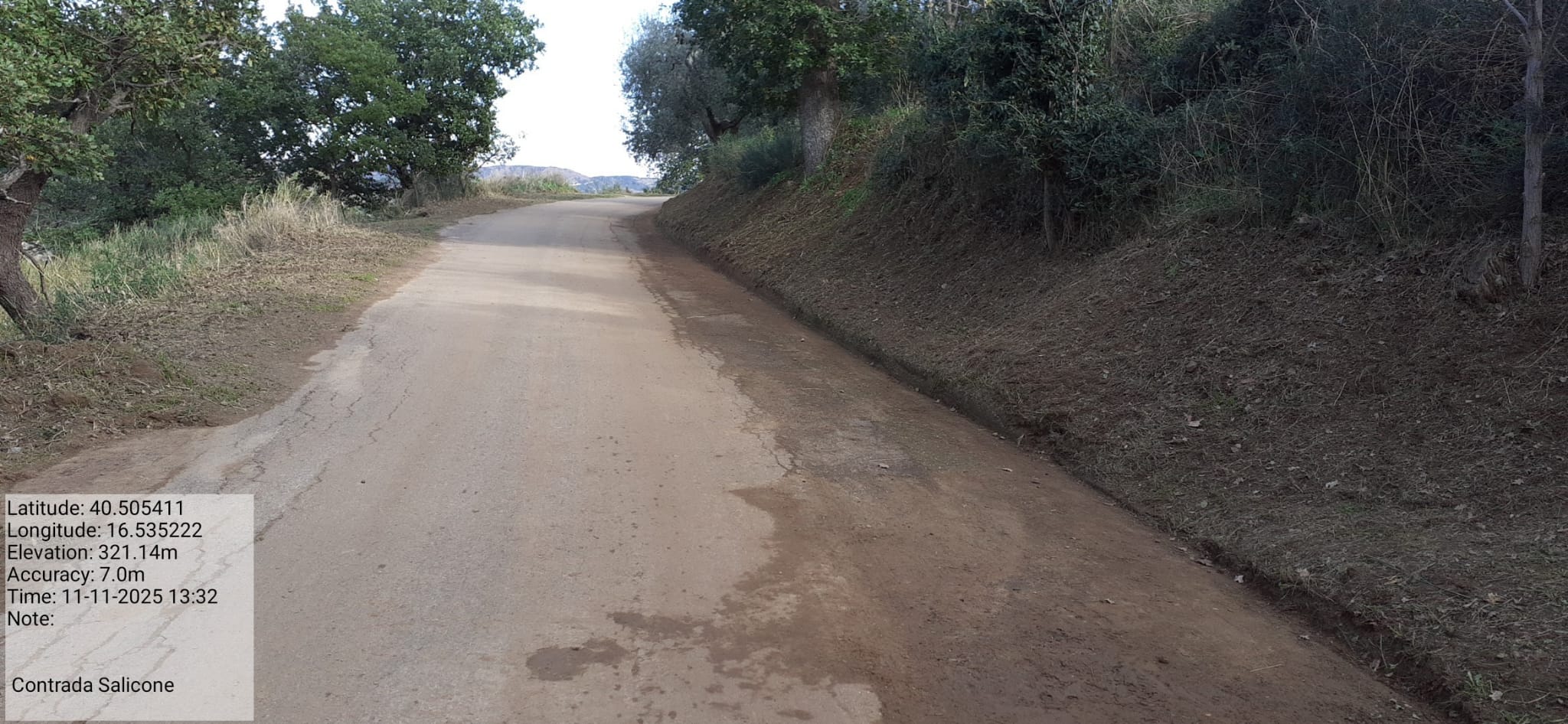 Galleria Fotografica Immagine