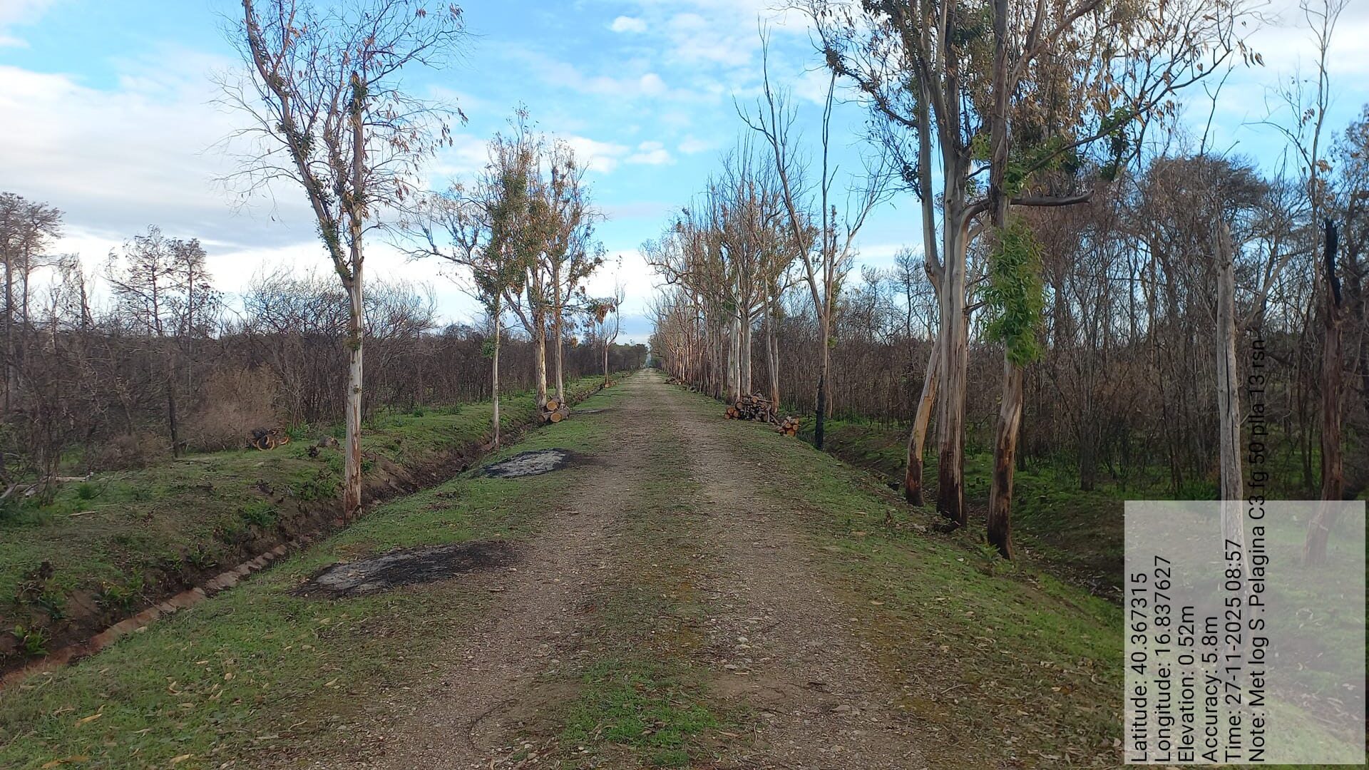 Galleria Fotografica Immagine