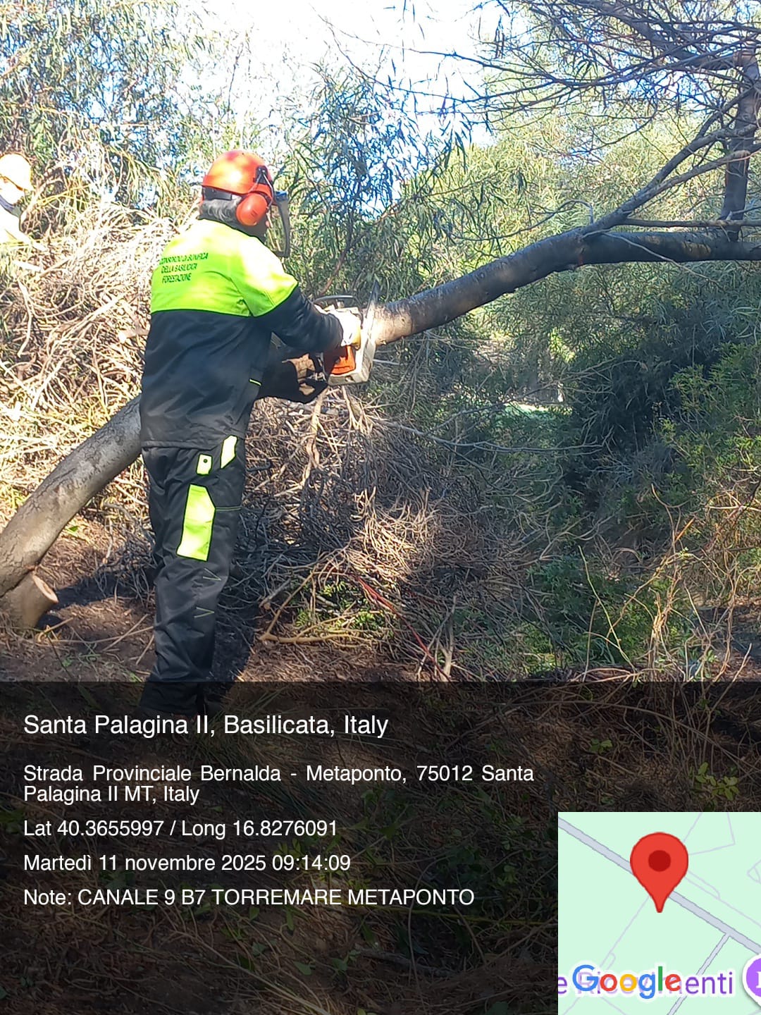 Galleria Fotografica Immagine