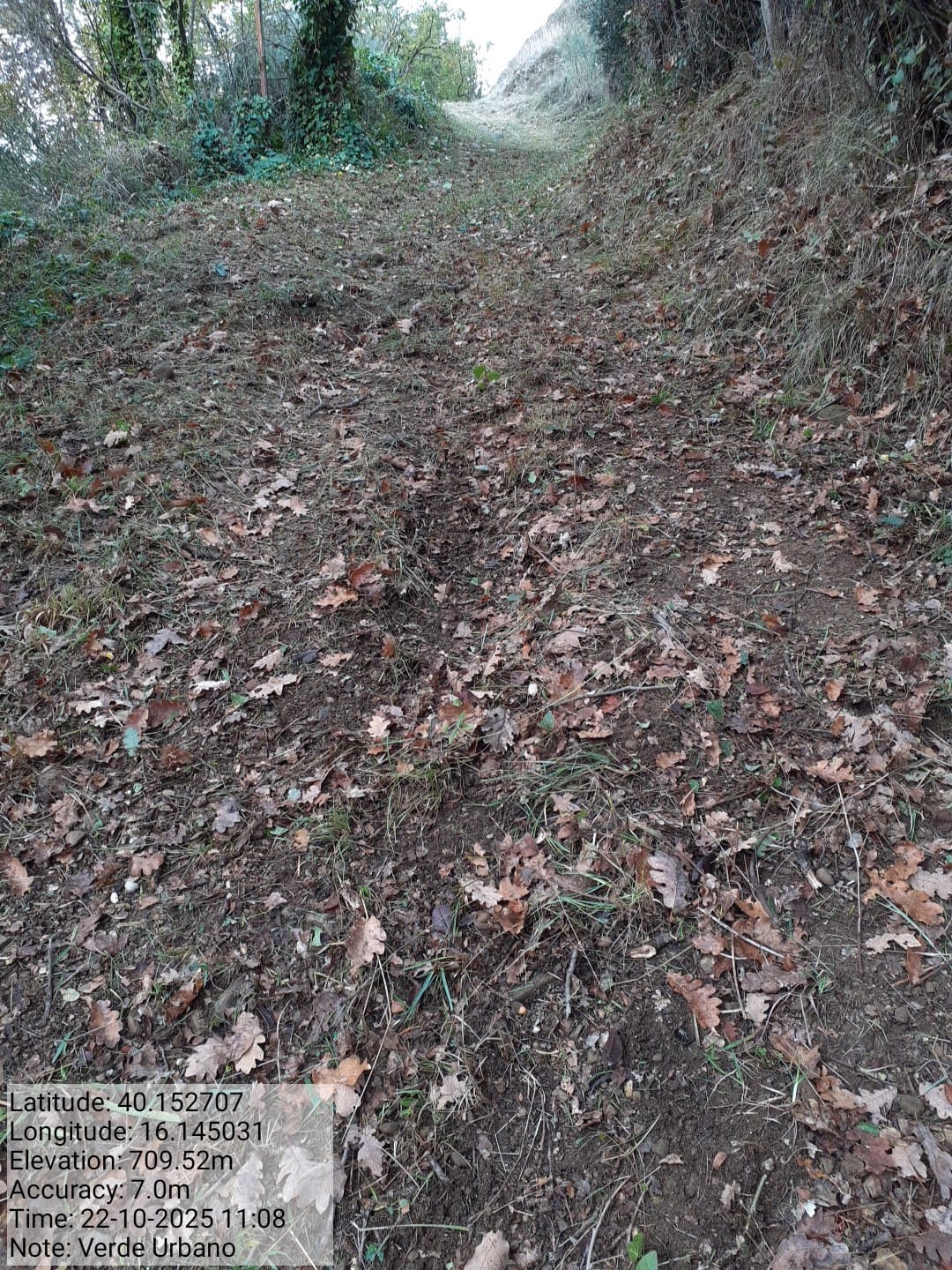 Galleria Fotografica Immagine