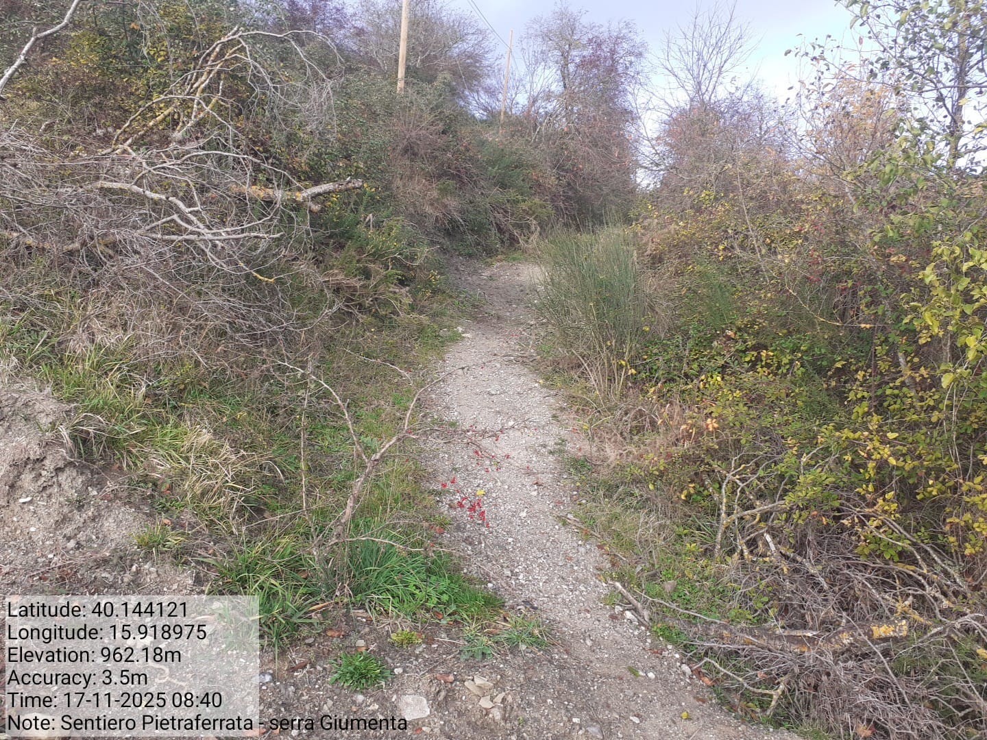 Galleria Fotografica Immagine