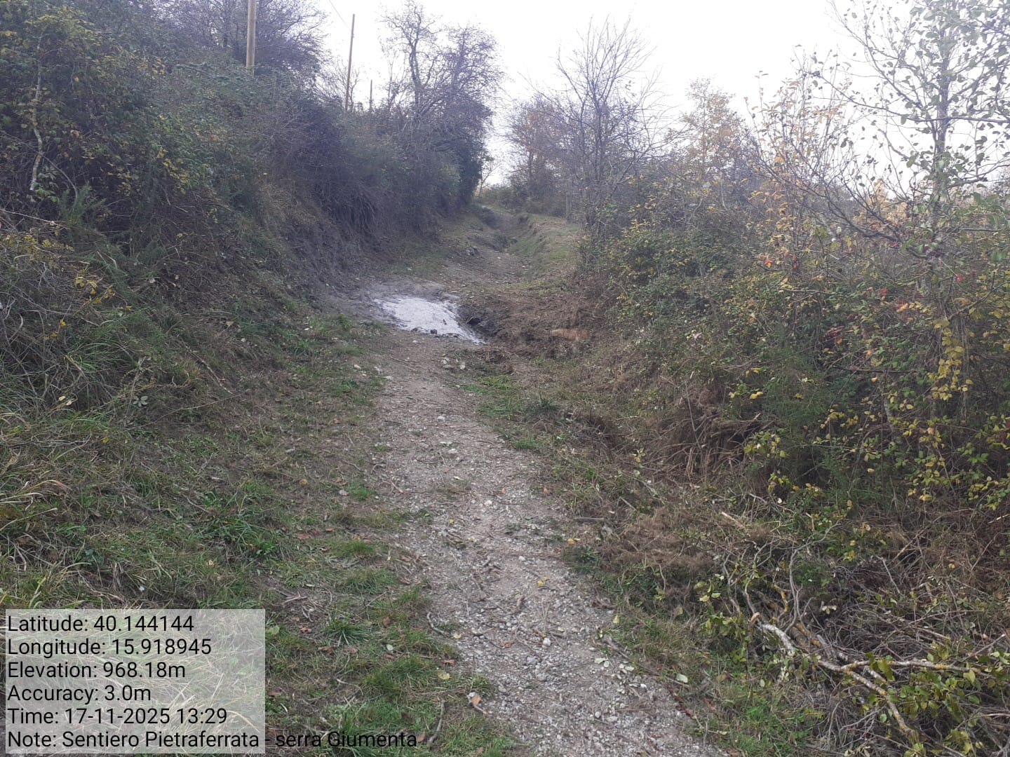 Galleria Fotografica Immagine