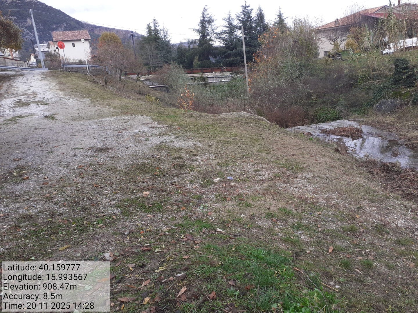 Galleria Fotografica Immagine