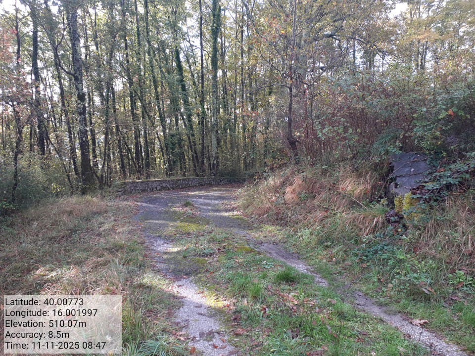 Galleria Fotografica Immagine