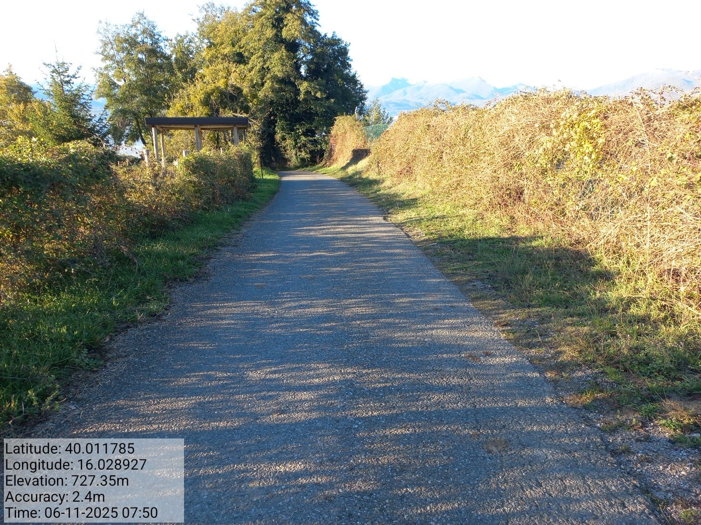 Galleria Fotografica Immagine