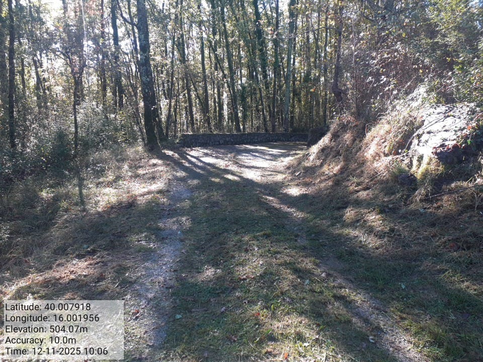 Galleria Fotografica Immagine