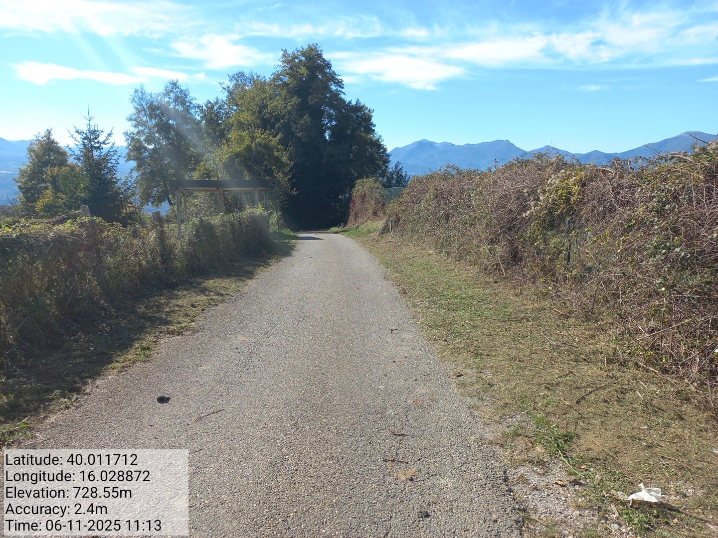 Galleria Fotografica Immagine