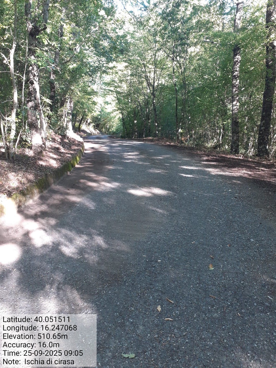 Galleria Fotografica Immagine