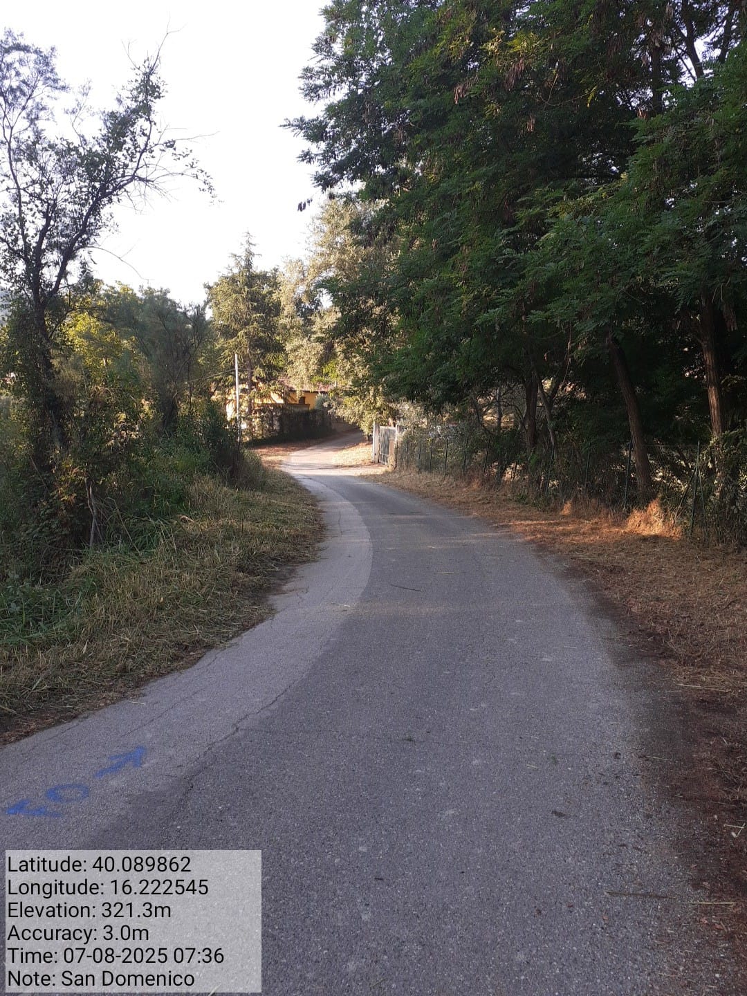 Galleria Fotografica Immagine