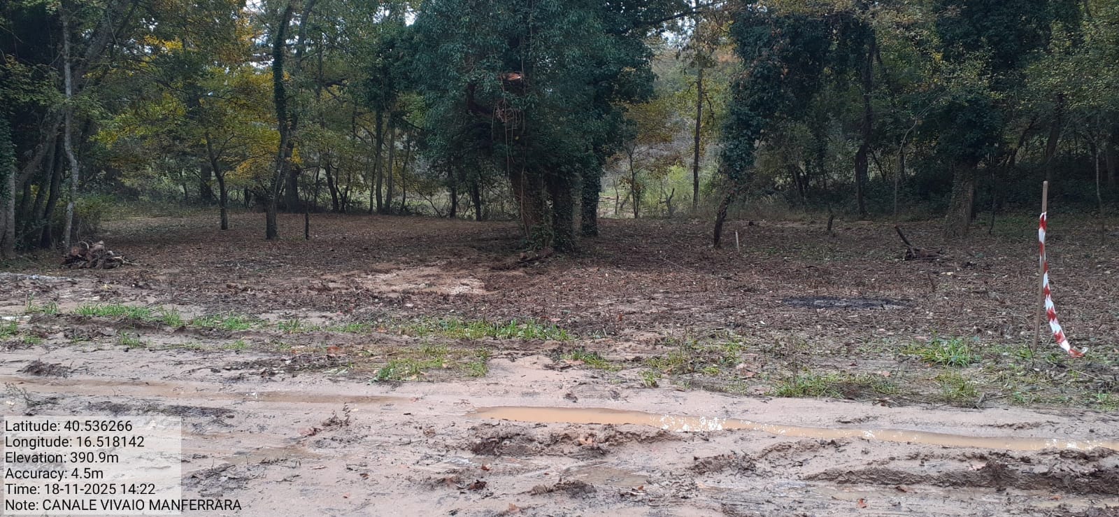 Galleria Fotografica Immagine