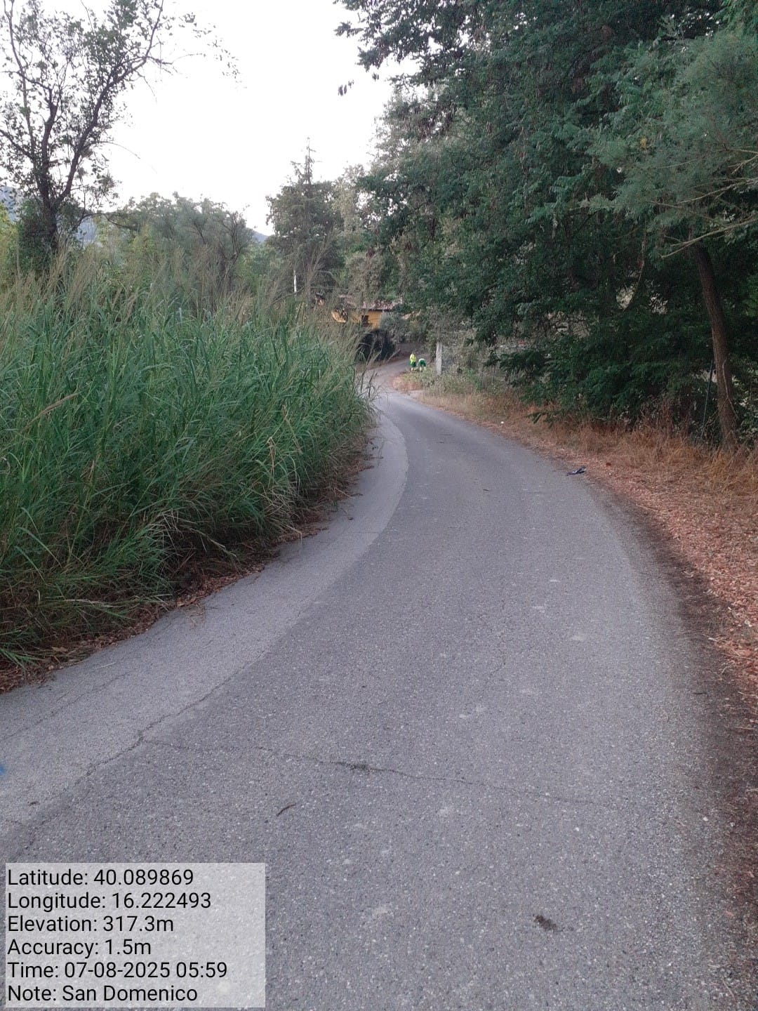 Galleria Fotografica Immagine