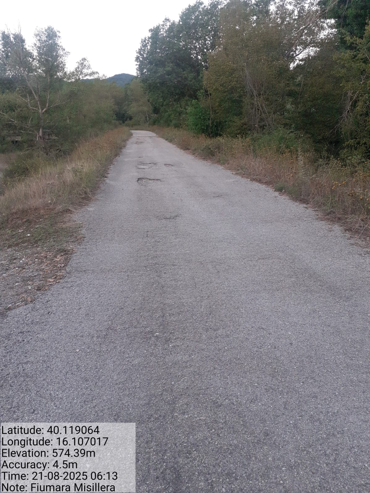 Galleria Fotografica Immagine