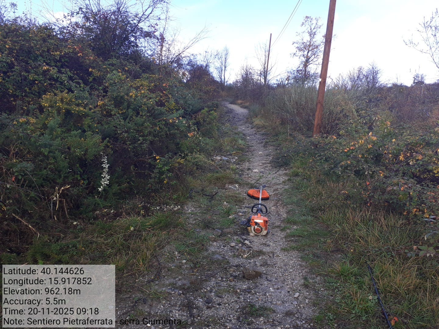 Galleria Fotografica Immagine