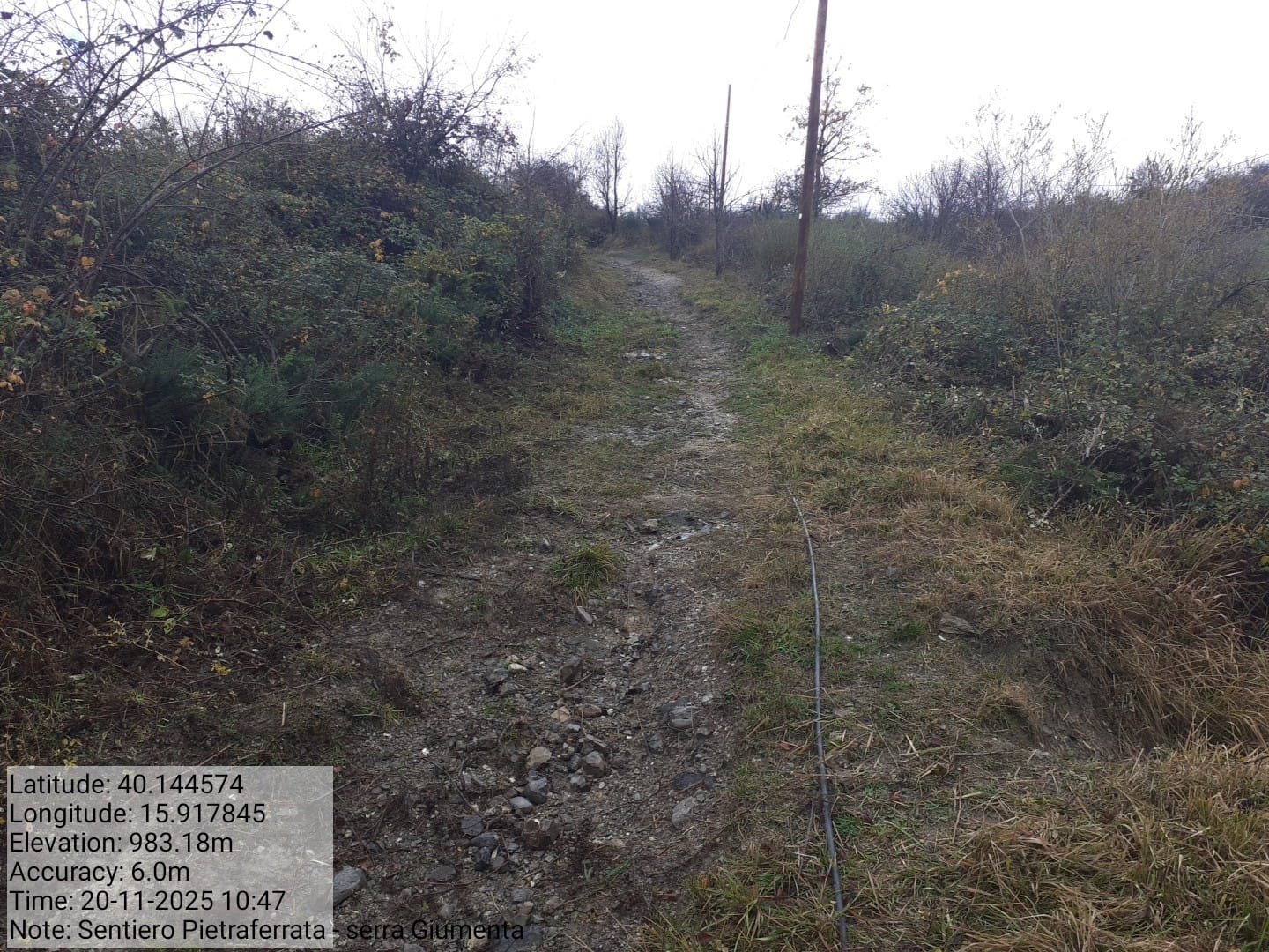 Galleria Fotografica Immagine