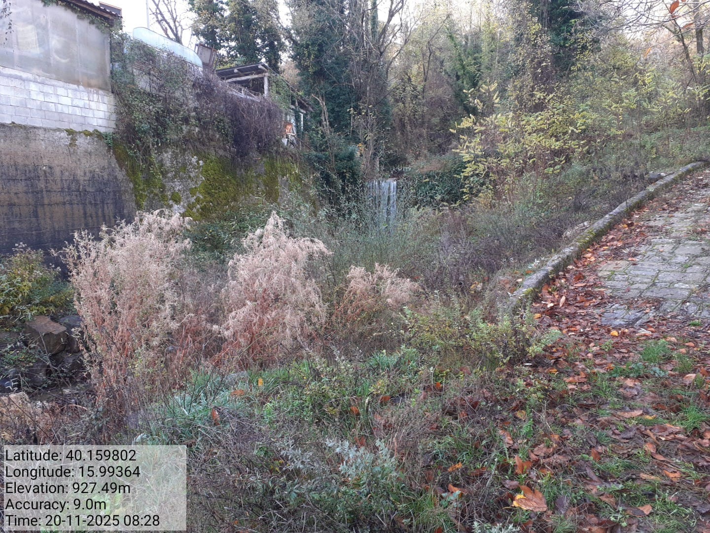 Galleria Fotografica Immagine