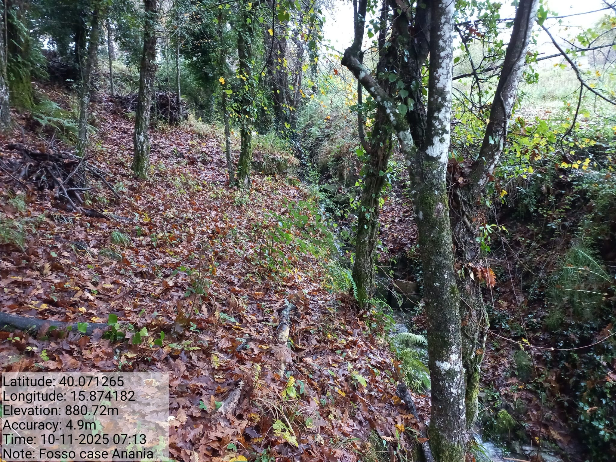 Galleria Fotografica Immagine