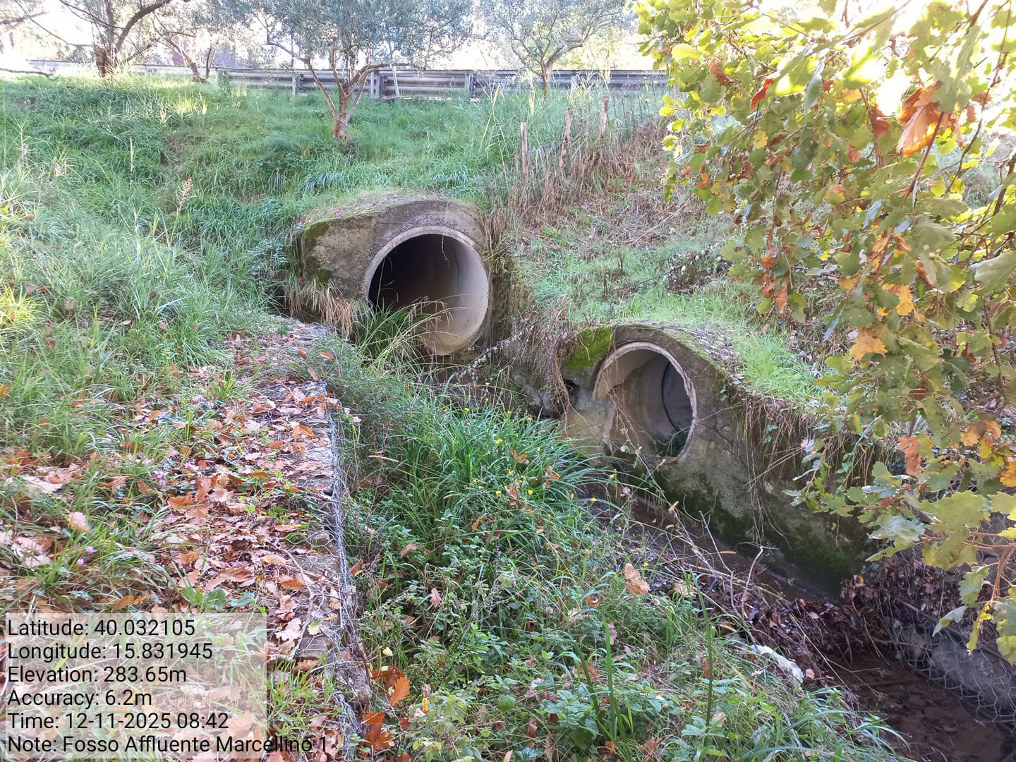 Galleria Fotografica Immagine