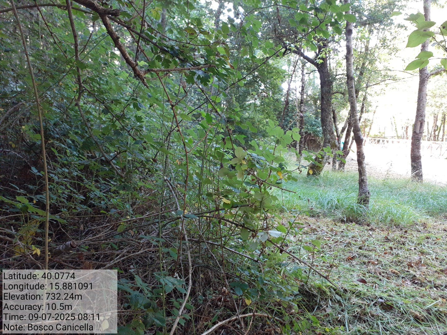 Galleria Fotografica Immagine