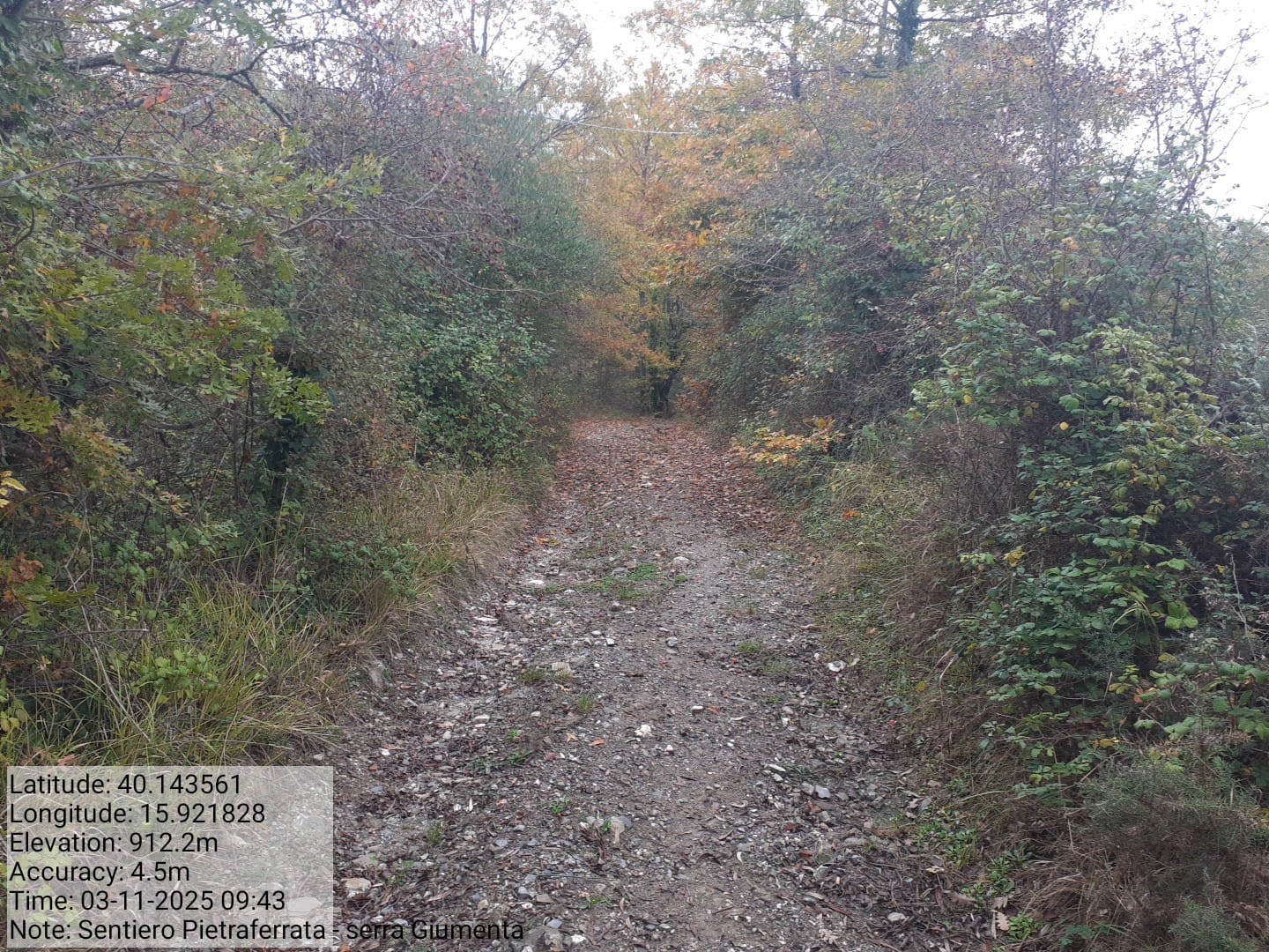 Galleria Fotografica Immagine