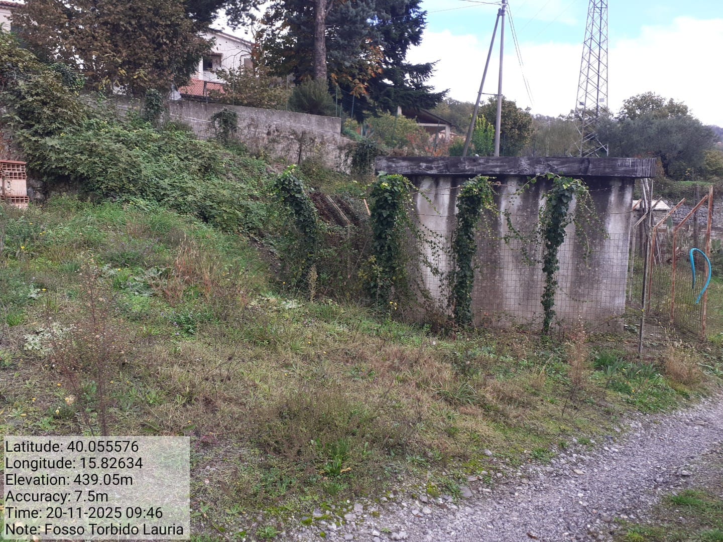 Galleria Fotografica Immagine