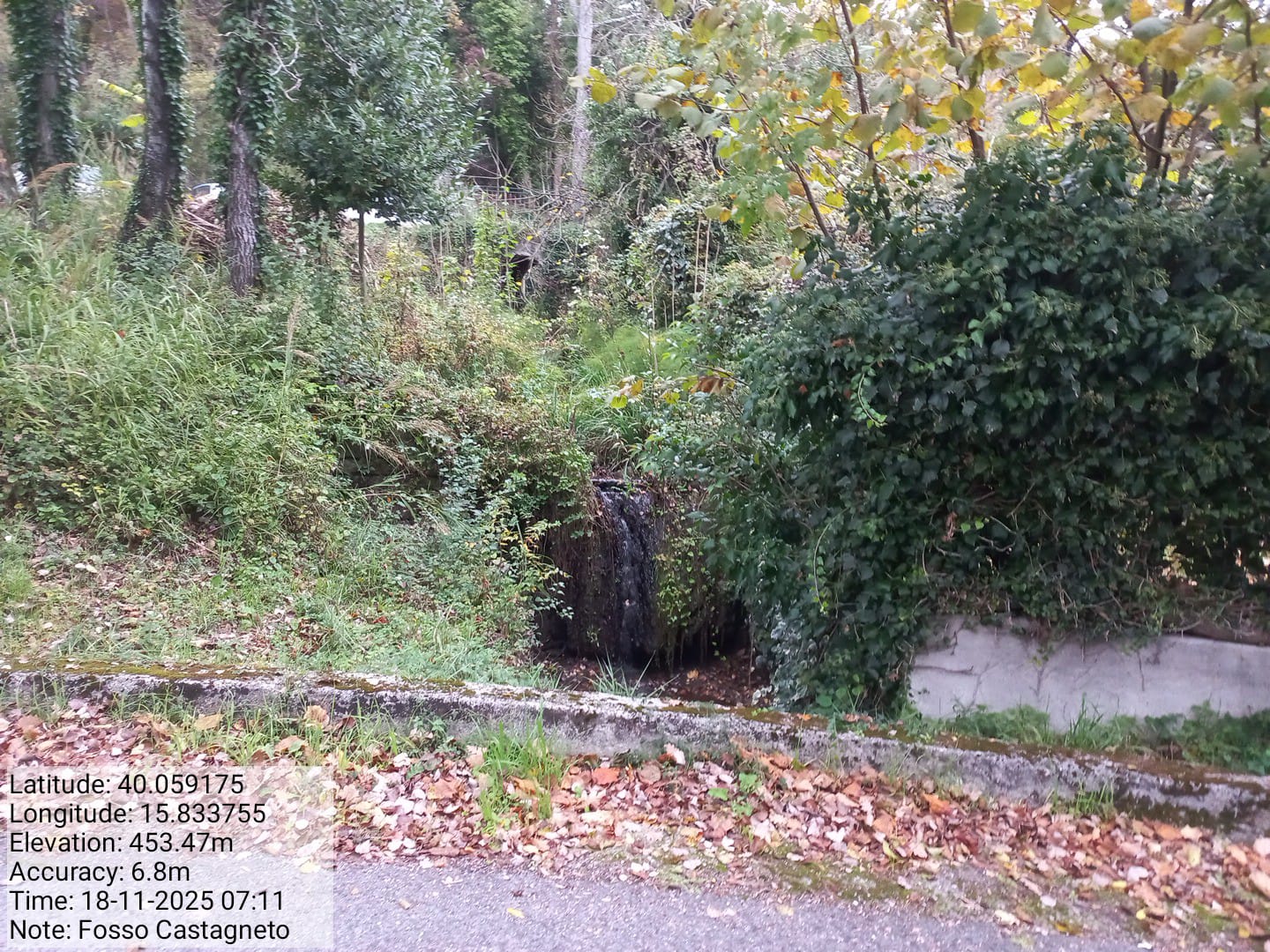 Galleria Fotografica Immagine