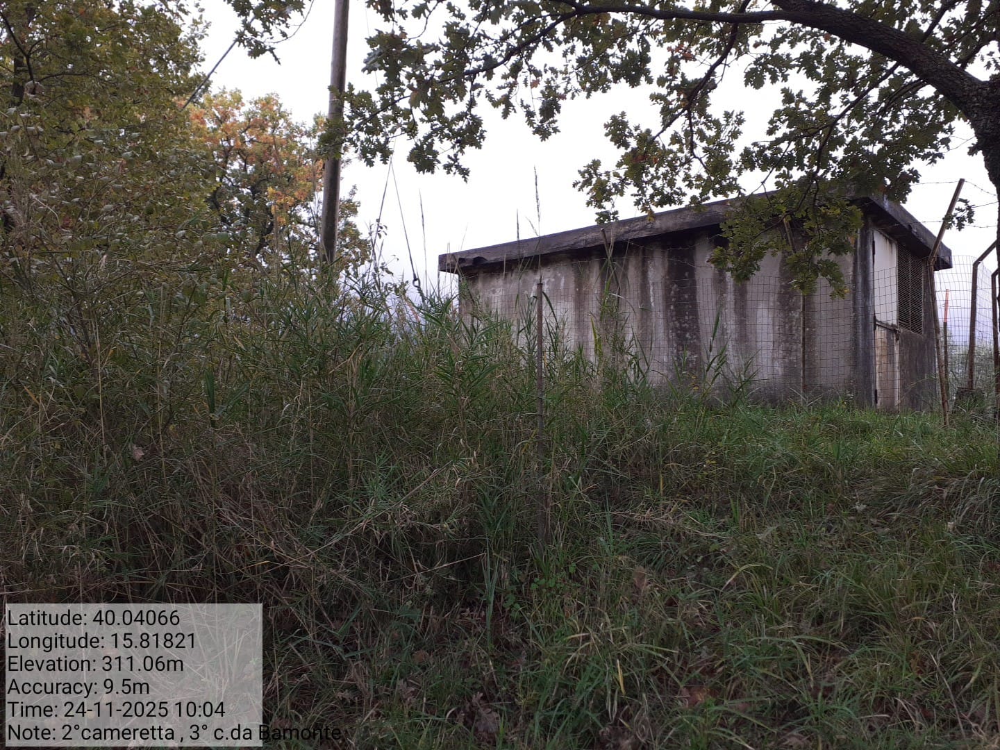 Galleria Fotografica Immagine