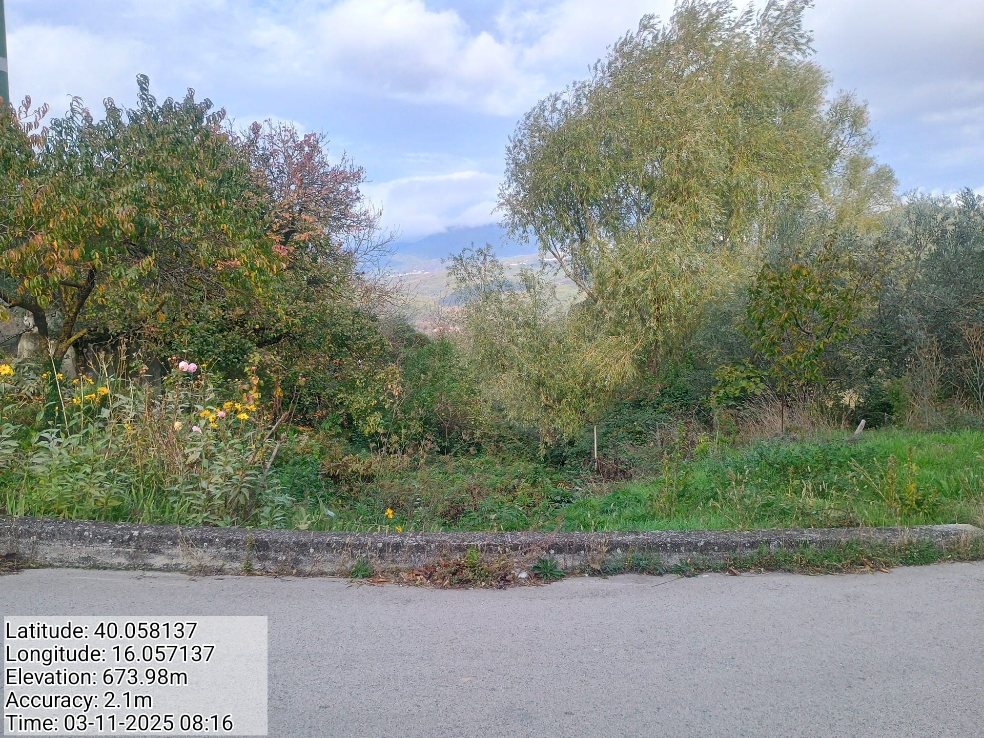 Galleria Fotografica Immagine