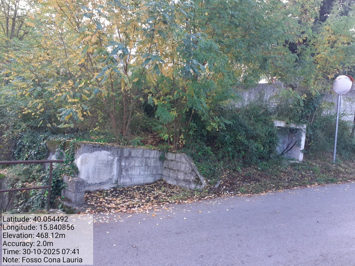 Galleria Fotografica Immagine