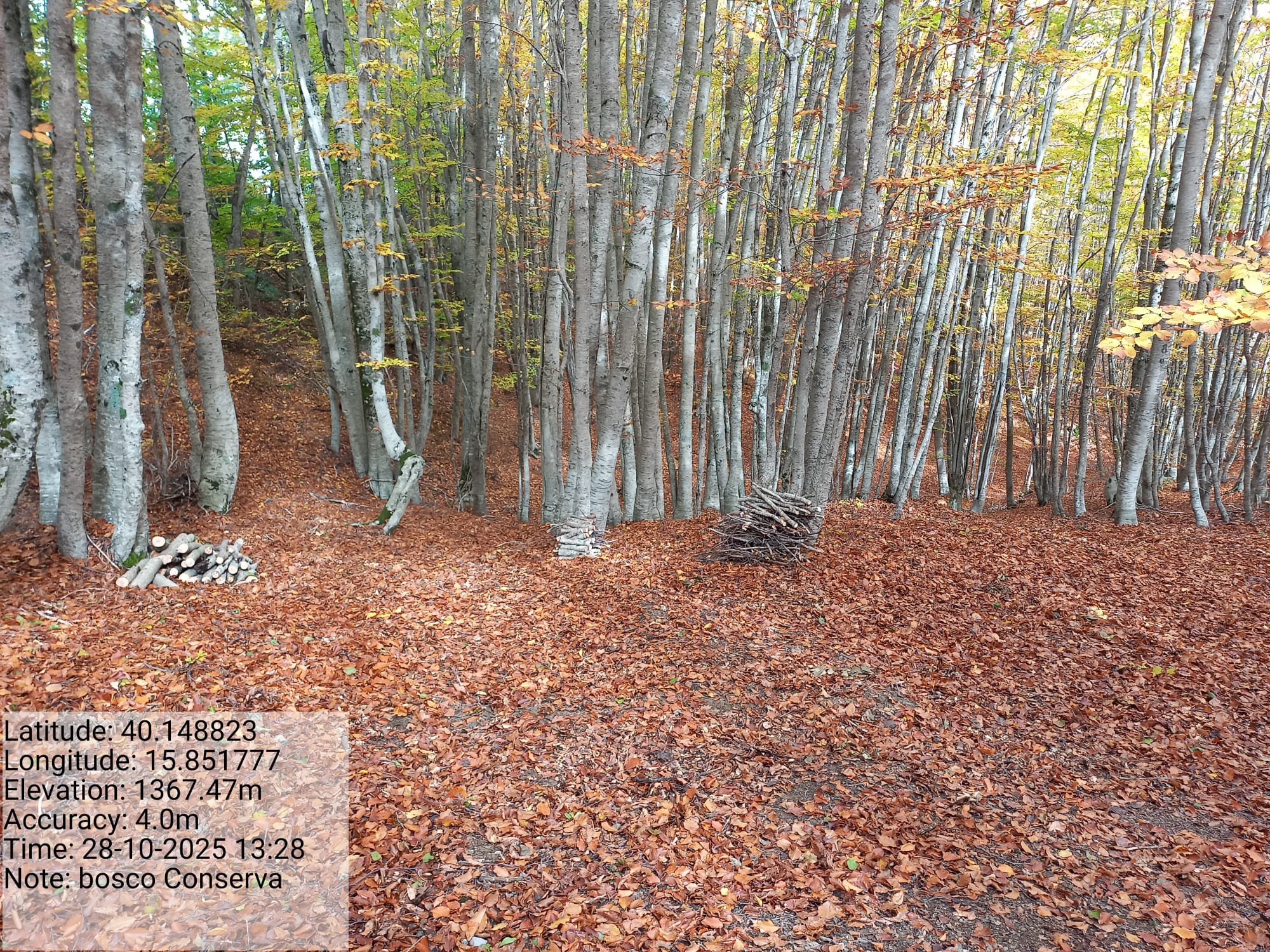 Galleria Fotografica Immagine