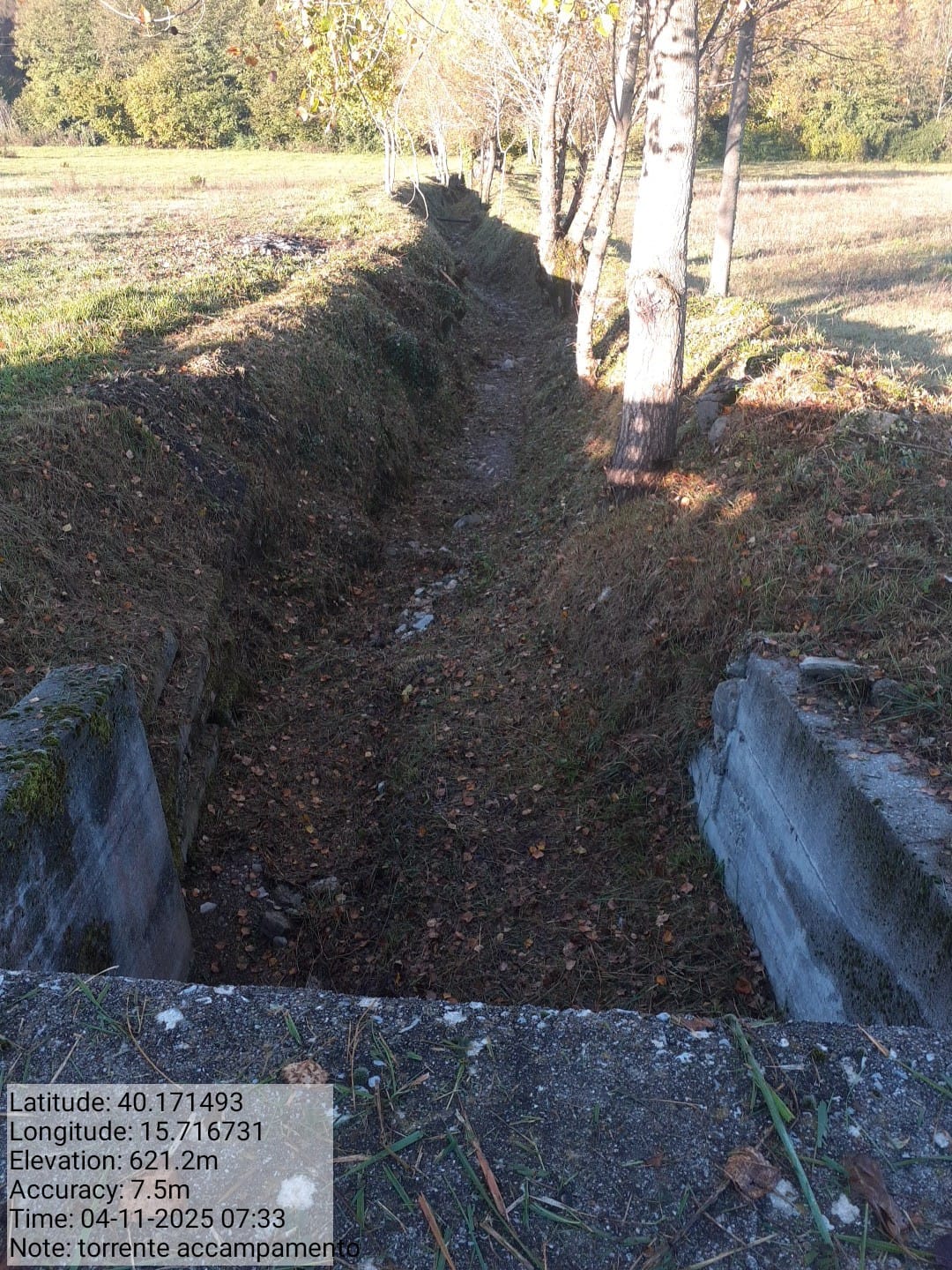 Galleria Fotografica Immagine