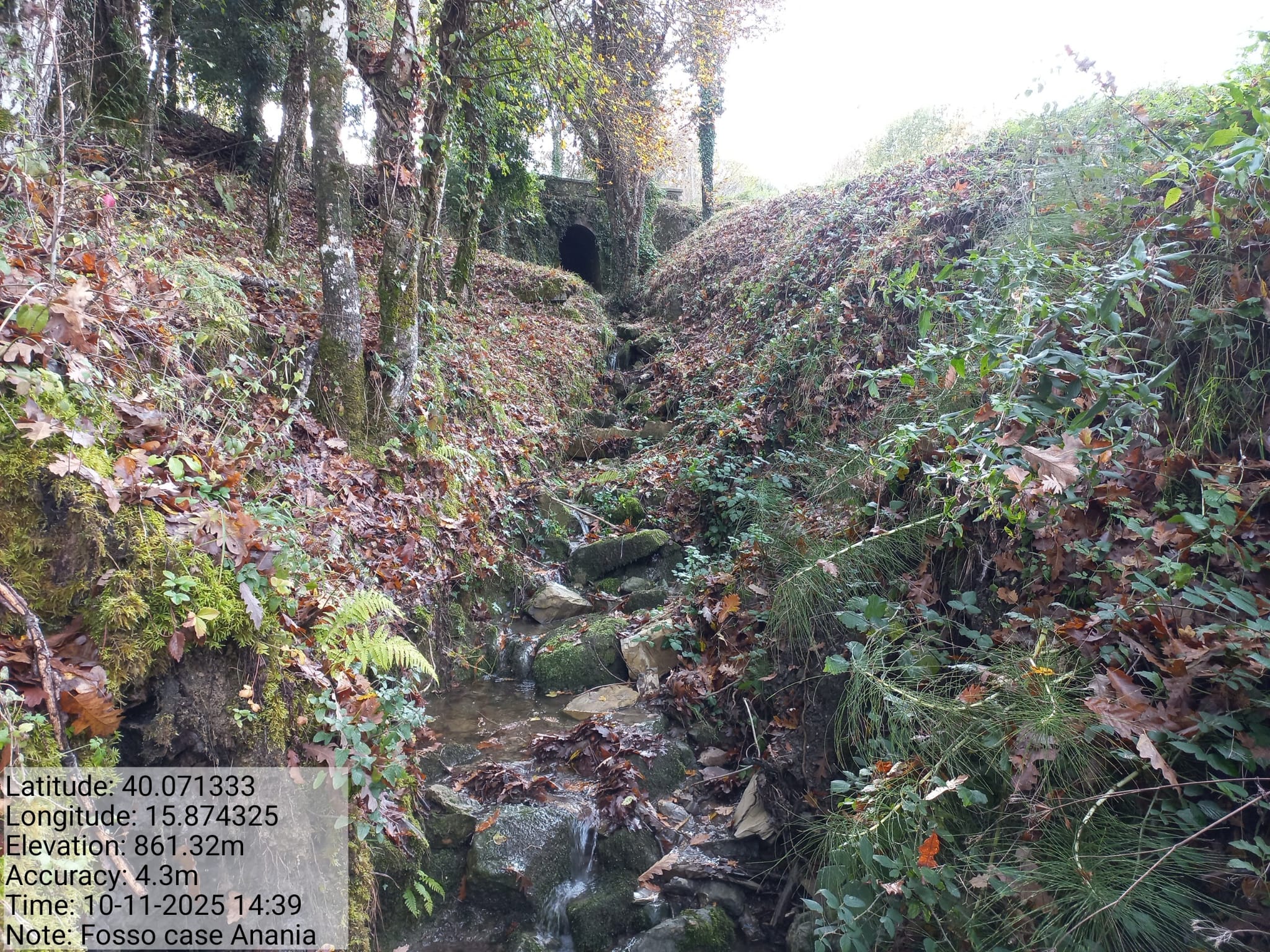 Galleria Fotografica Immagine