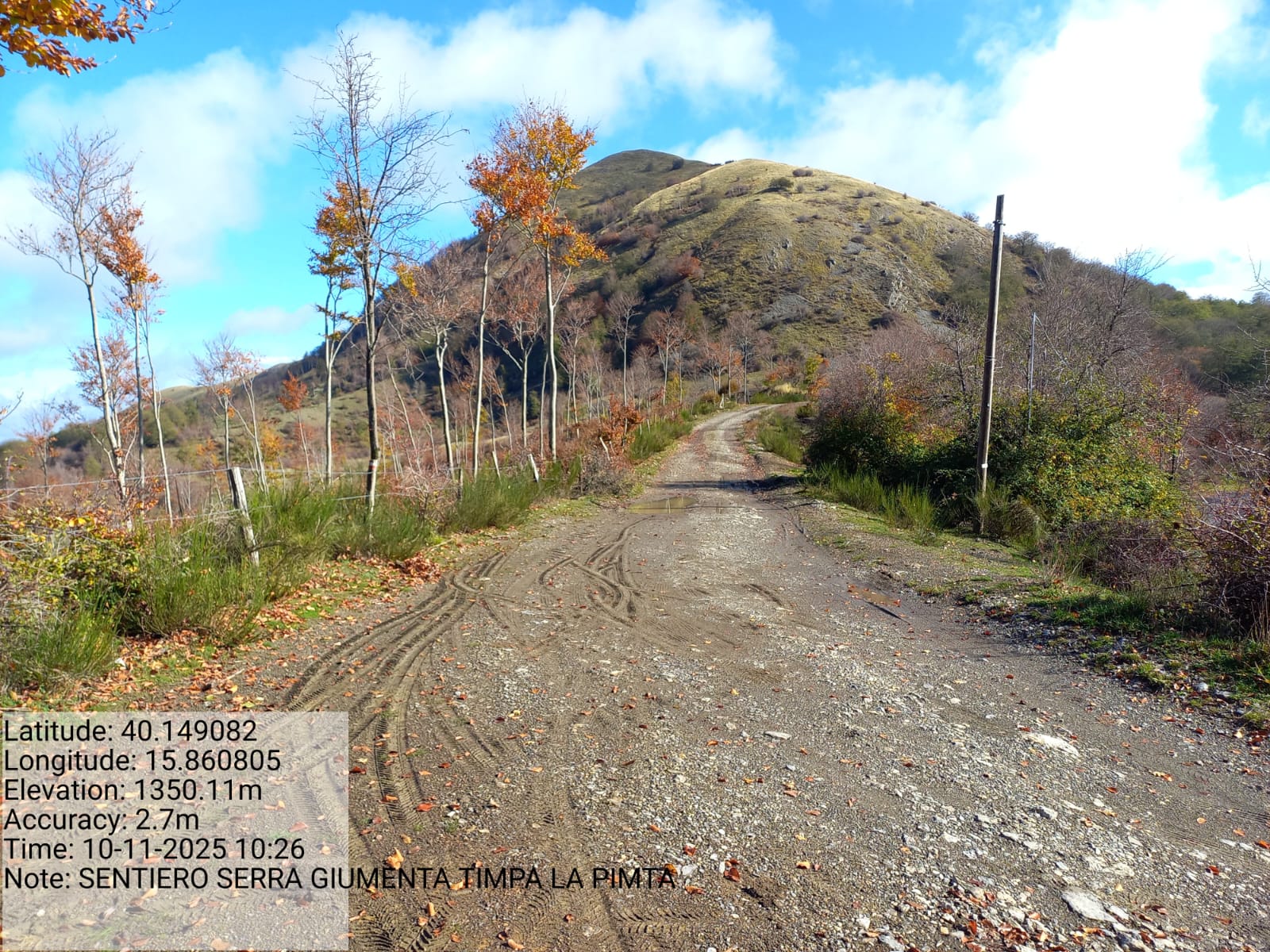 Galleria Fotografica Immagine