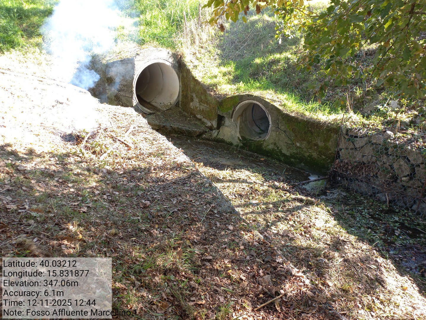 Galleria Fotografica Immagine