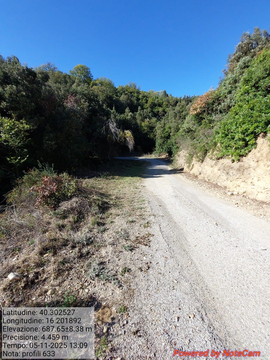 Galleria Fotografica Immagine