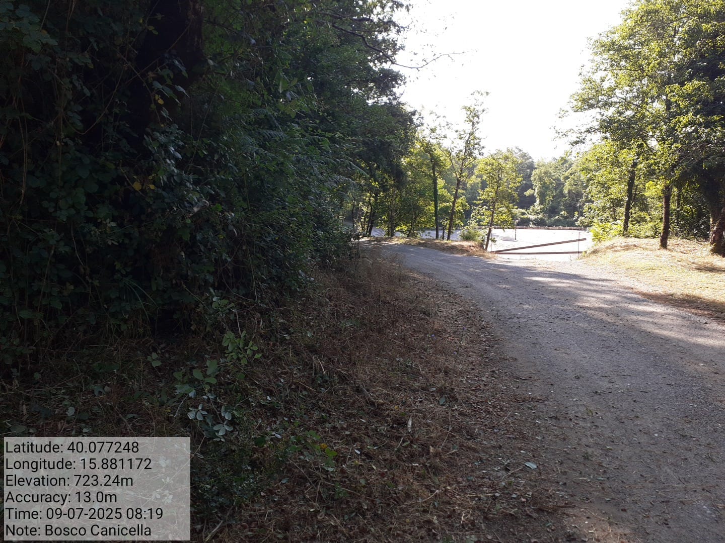 Galleria Fotografica Immagine