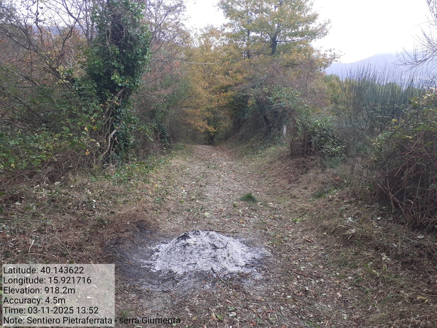 Galleria Fotografica Immagine