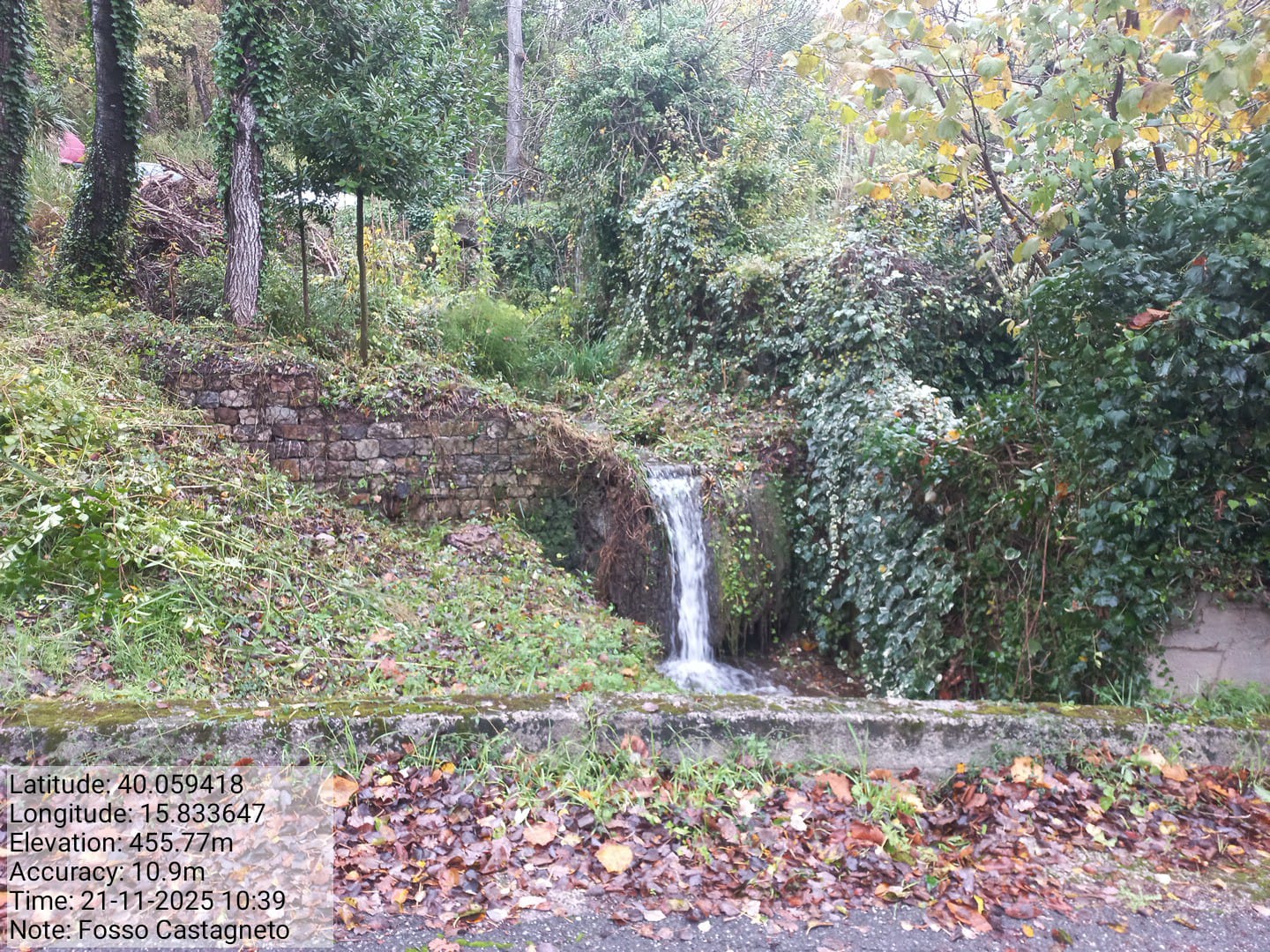 Galleria Fotografica Immagine