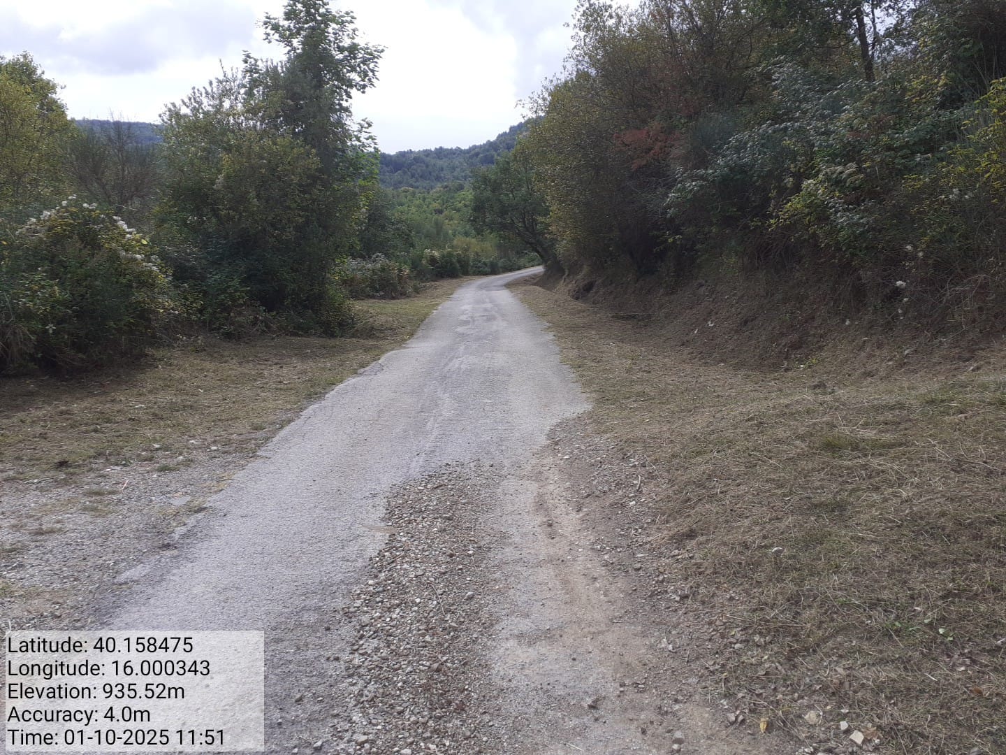 Galleria Fotografica Immagine