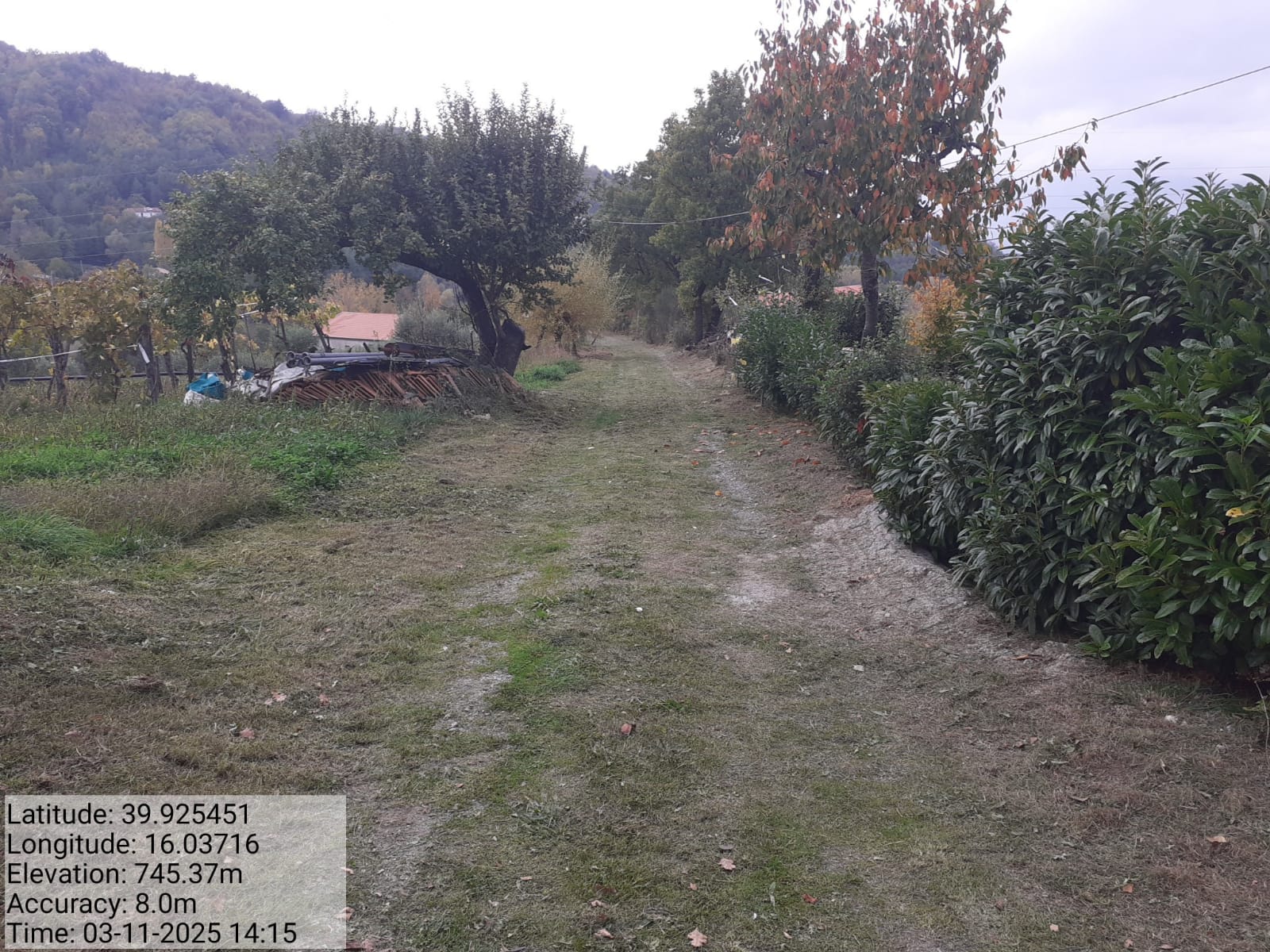 Galleria Fotografica Immagine