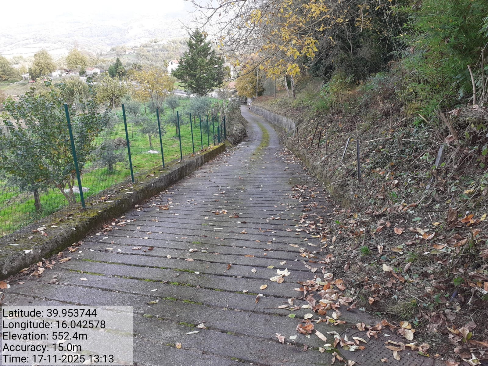 Galleria Fotografica Immagine