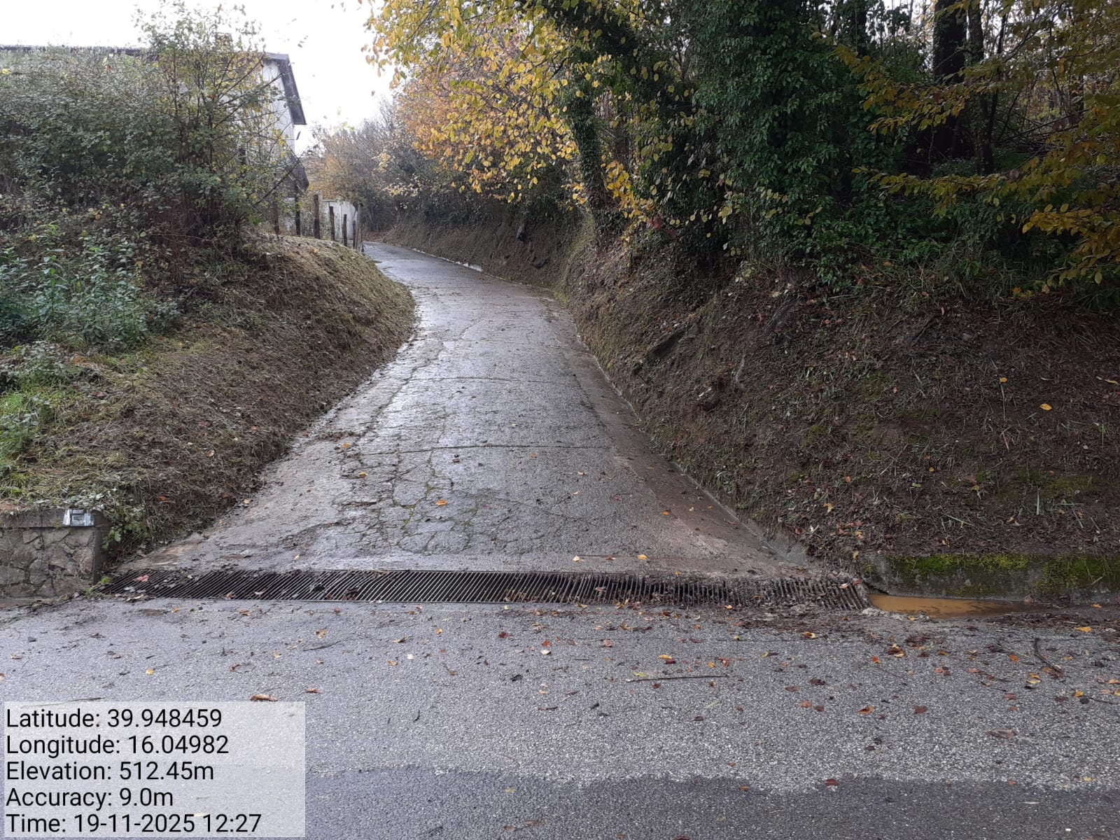 Galleria Fotografica Immagine