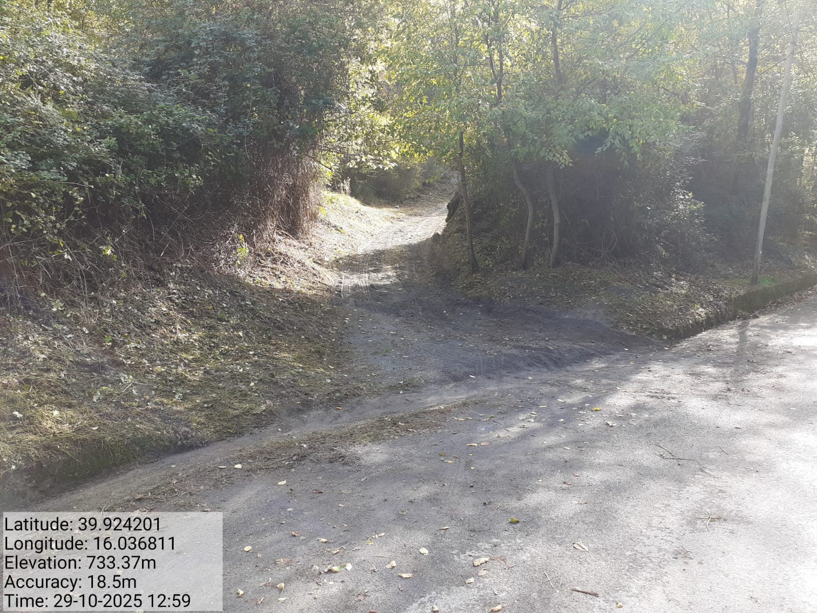 Galleria Fotografica Immagine