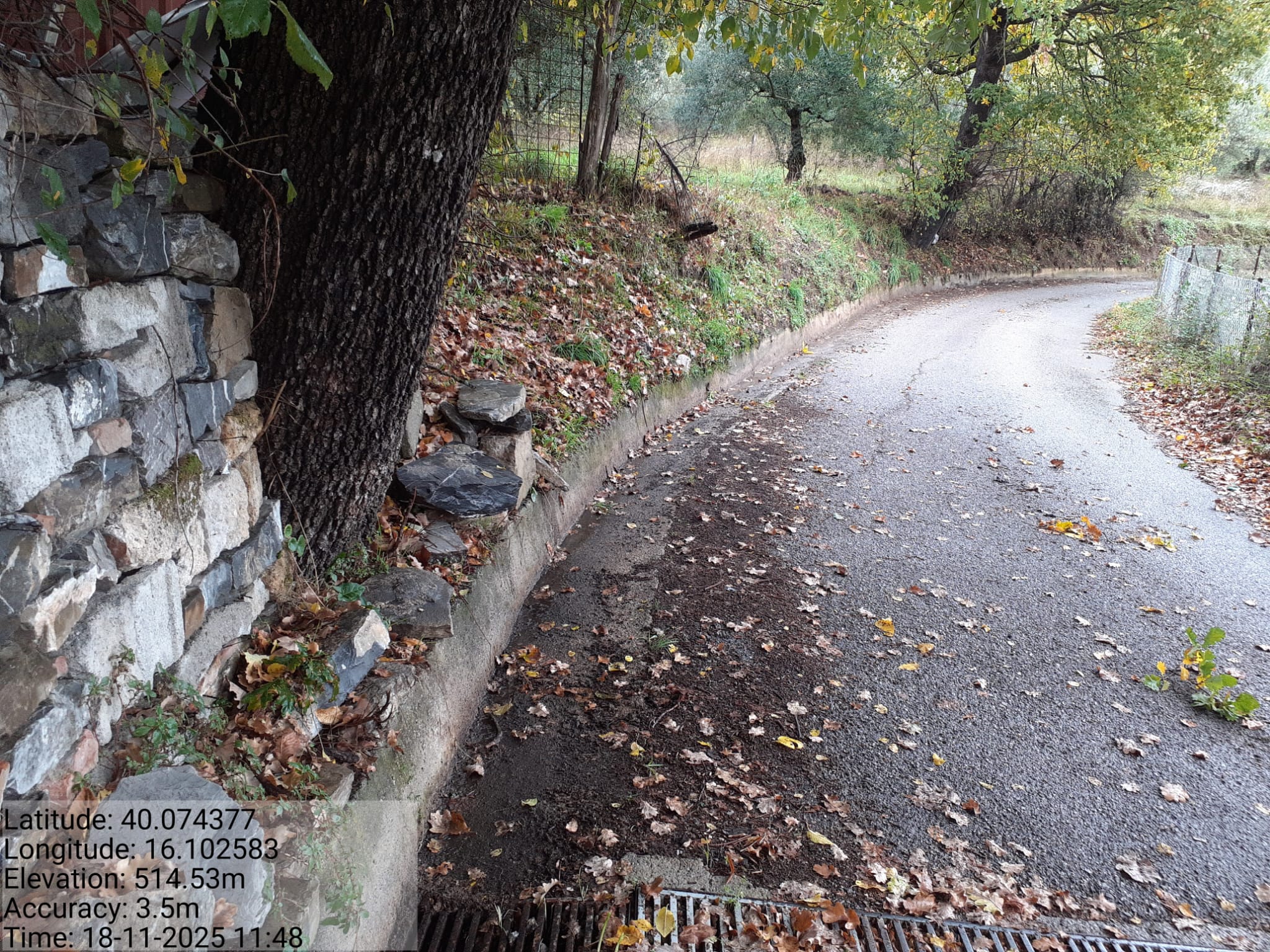 Galleria Fotografica Immagine